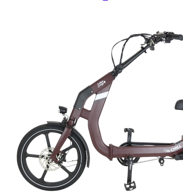 Caboo Cargo Chill Elektrische Driewieler Rood - Afbeelding 3
